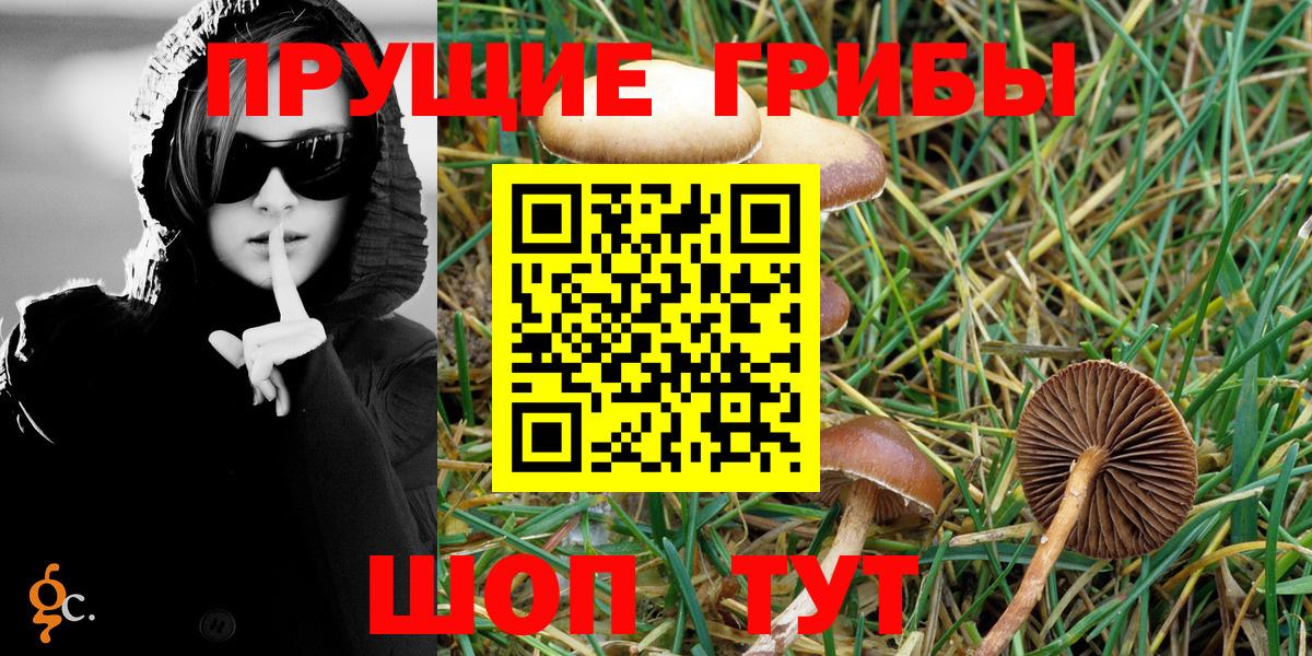 Галлюциногенные грибы Magic Shrooms Советск